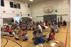VBS3A